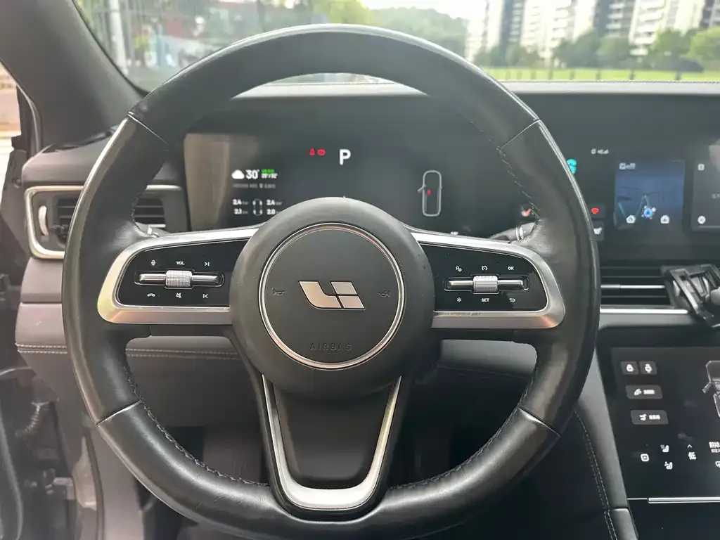 Li Auto ONE 2021 из CN, фото 10