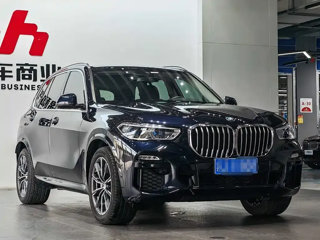 BMW X5 (Import) 2021 из CN, фото 1