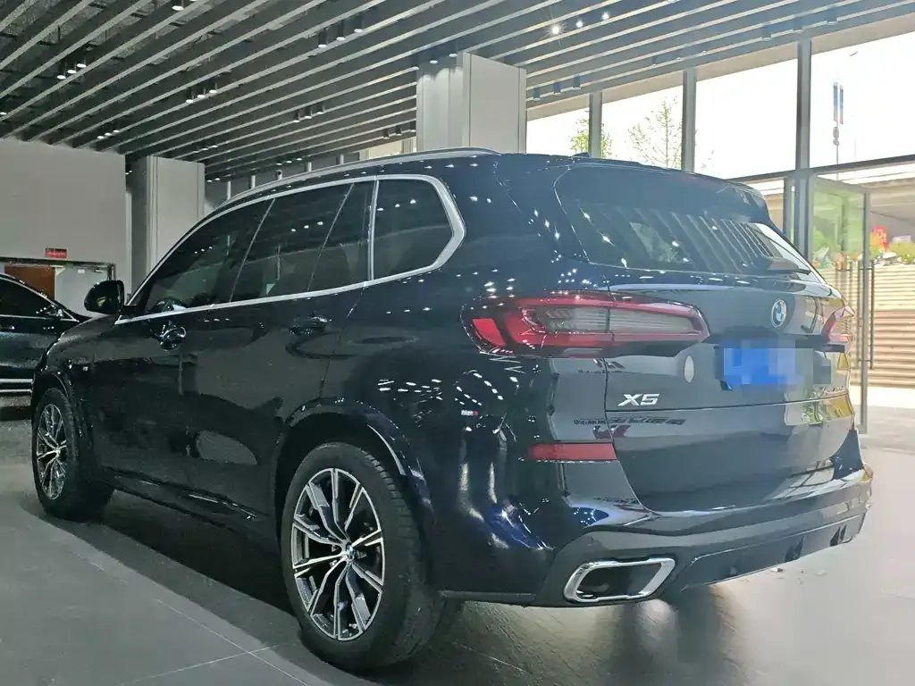 BMW X5 (Import) 2021 из CN, фото 5