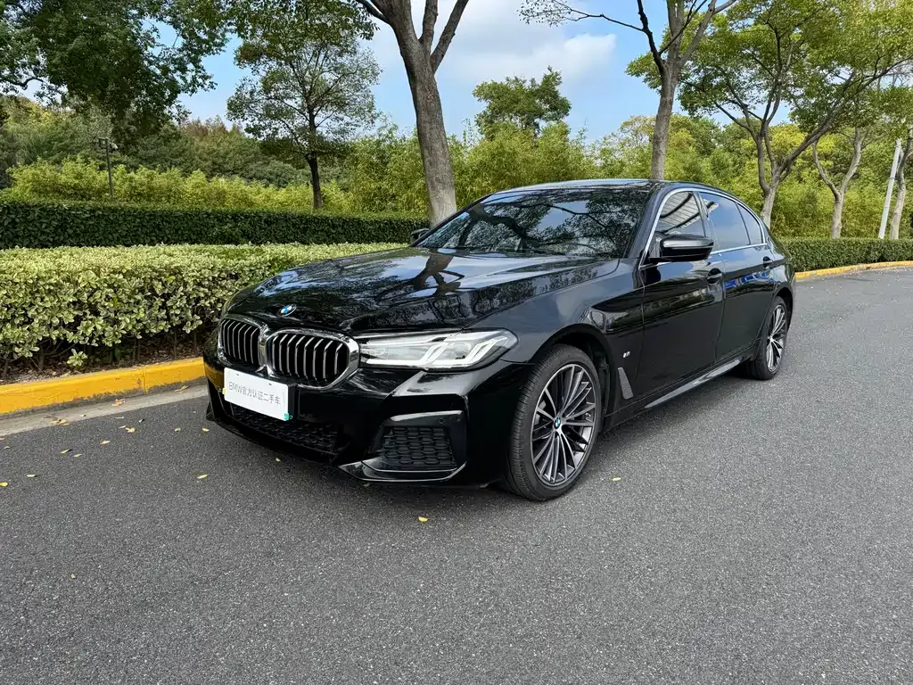 BMW 5 Series 2023 из CN, фото 1