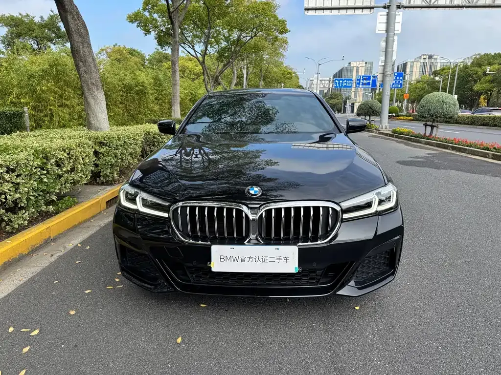 BMW 5 Series 2023 из CN, фото 2