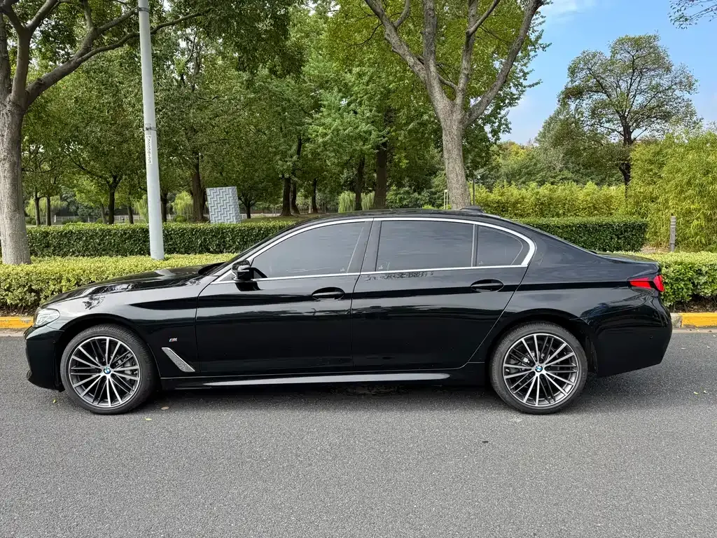 BMW 5 Series 2023 из CN, фото 4