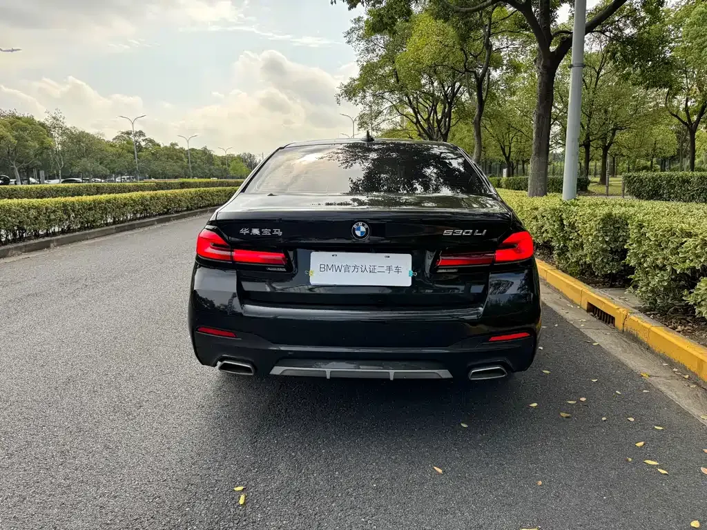 BMW 5 Series 2023 из CN, фото 7