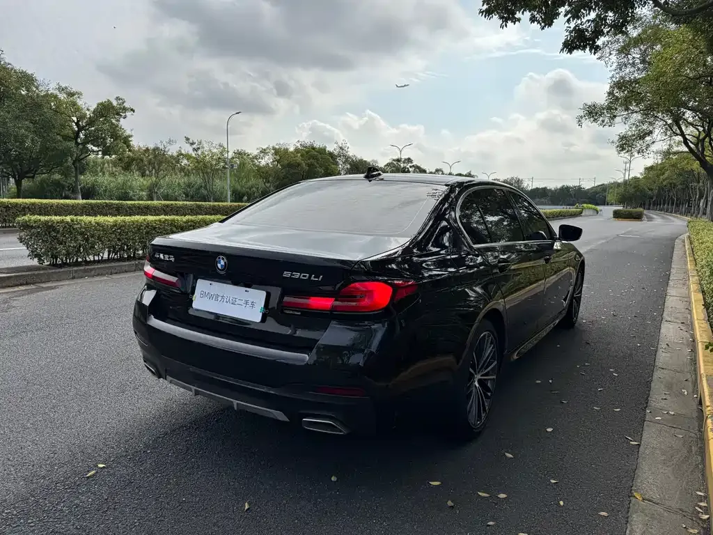 BMW 5 Series 2023 из CN, фото 8