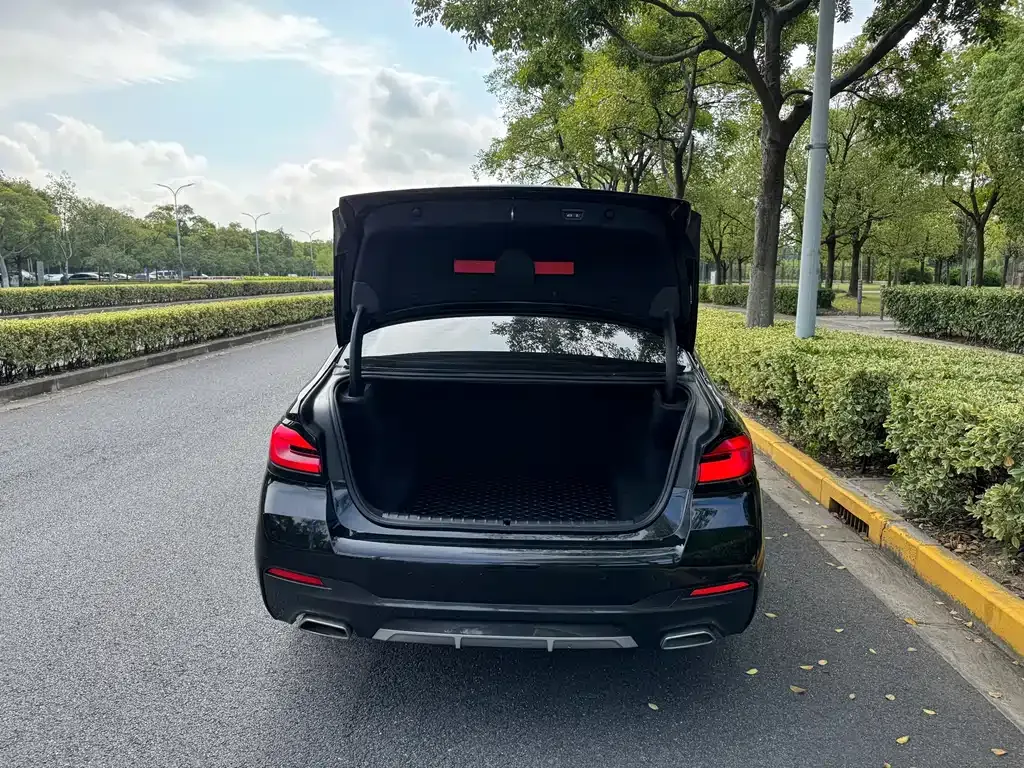 BMW 5 Series 2023 из CN, фото 9