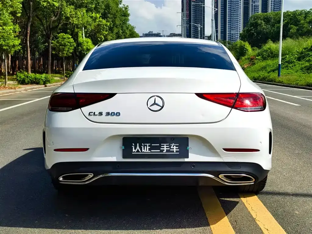 Mercedes-Benz CLS 2021 из CN, фото 6