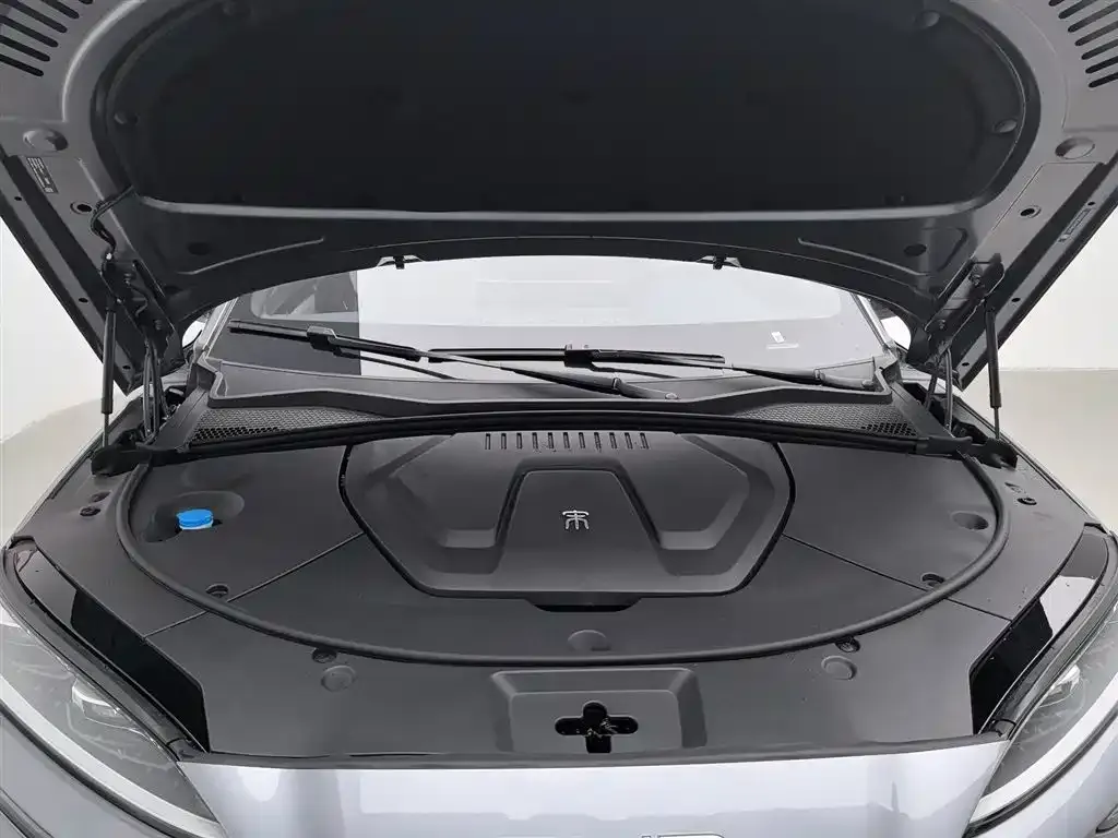 BYD PLUS New Energy — фото 6