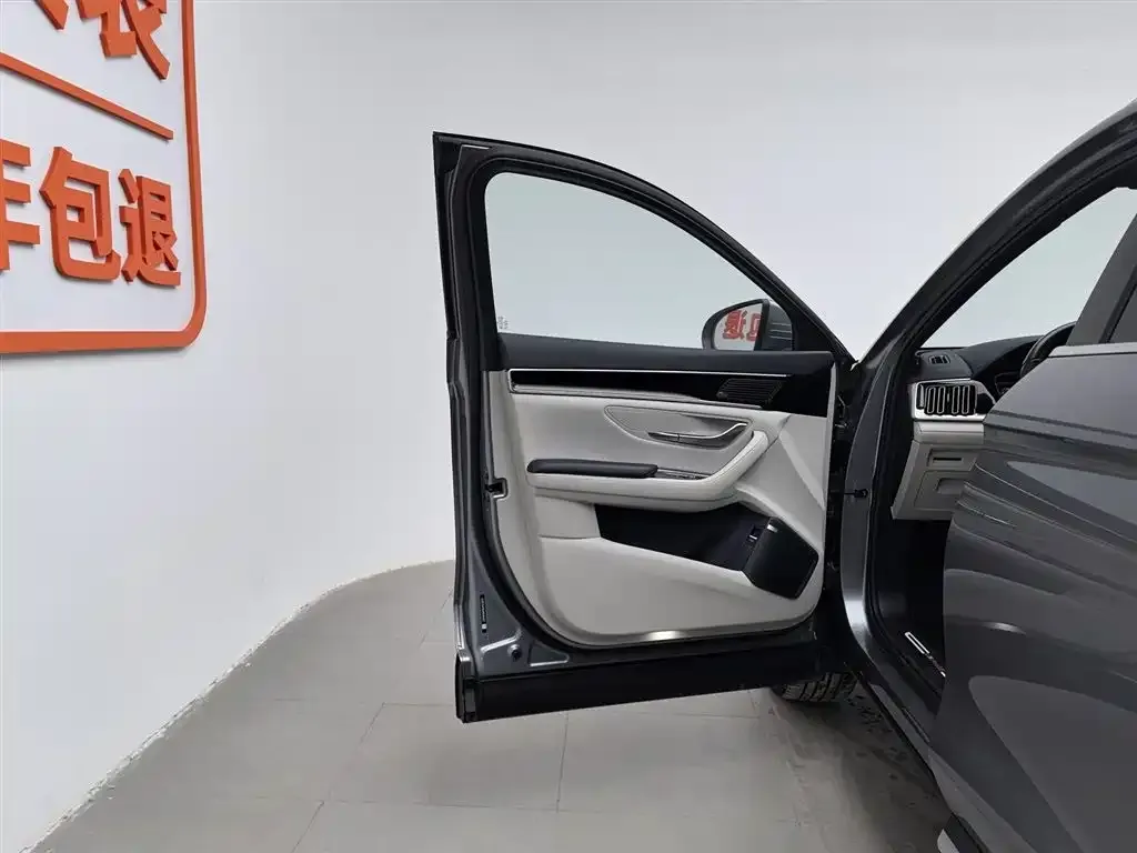 BYD PLUS New Energy — фото 8