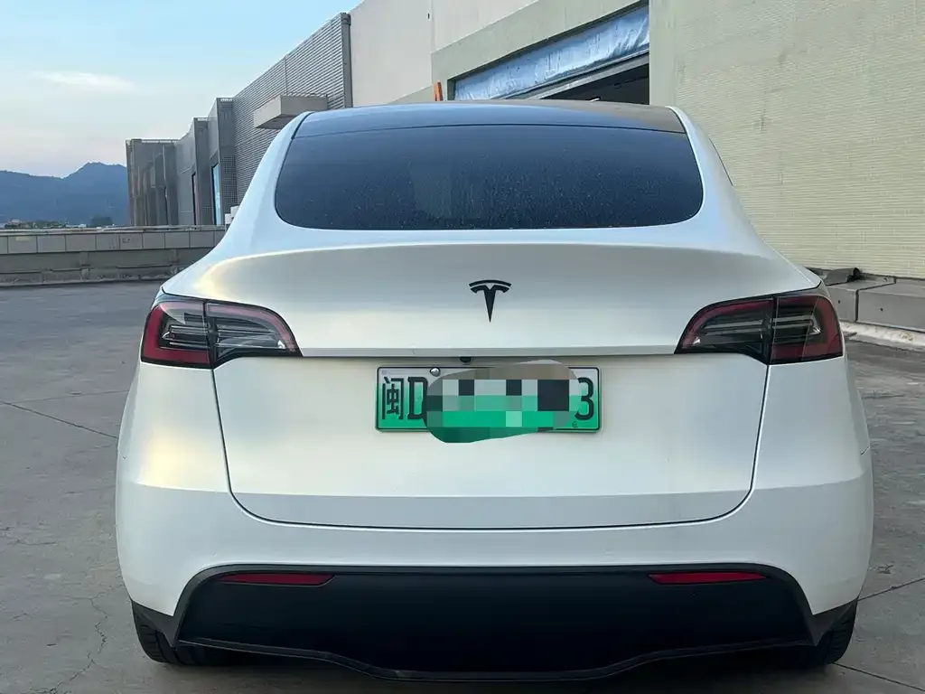 Tesla Model Y — фото 10