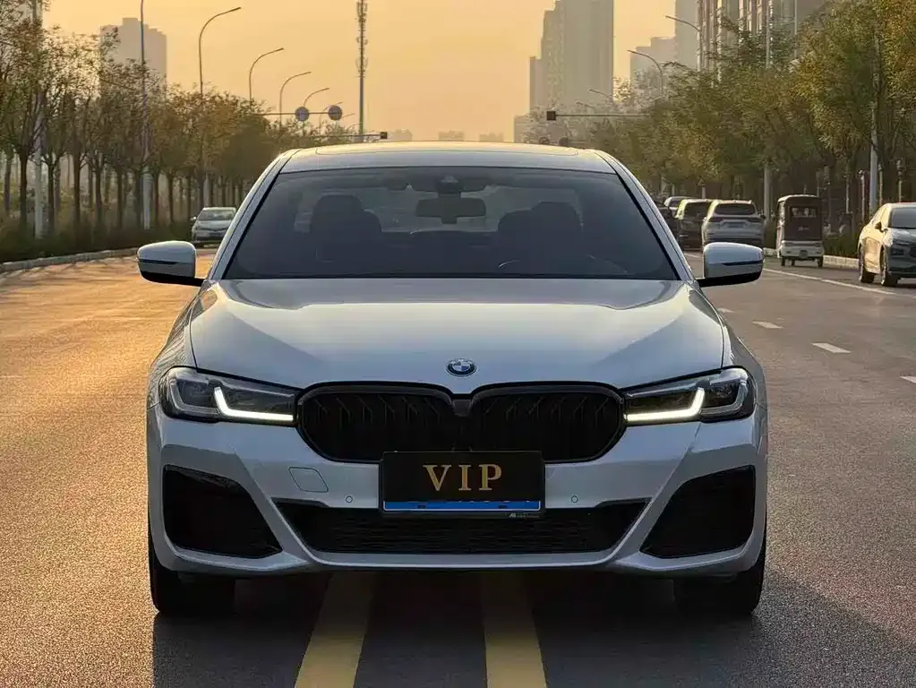 BMW 5 Series 2022 из CN, фото 1