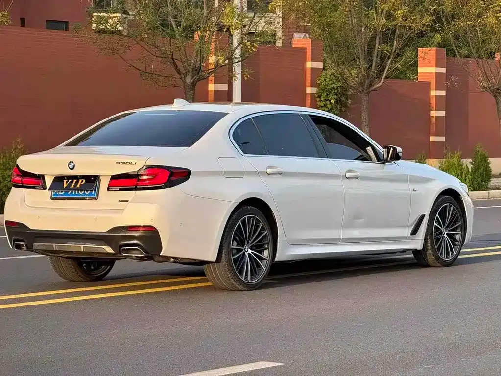 BMW 5 Series 2022 из CN, фото 10
