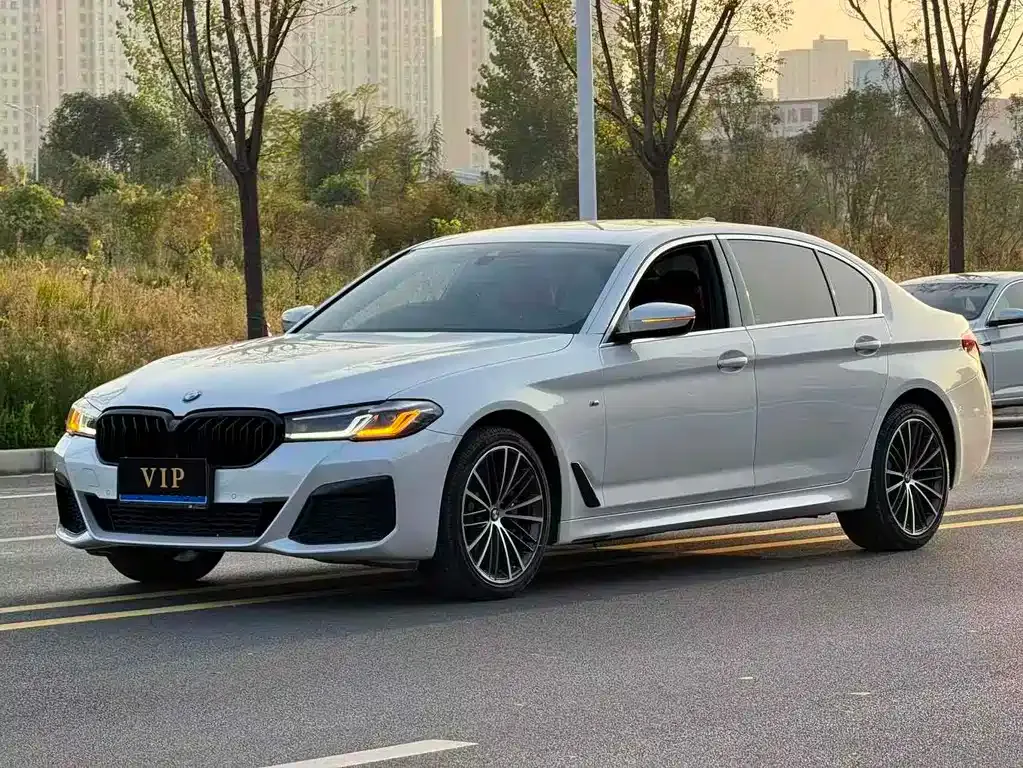BMW 5 Series 2022 из CN, фото 2