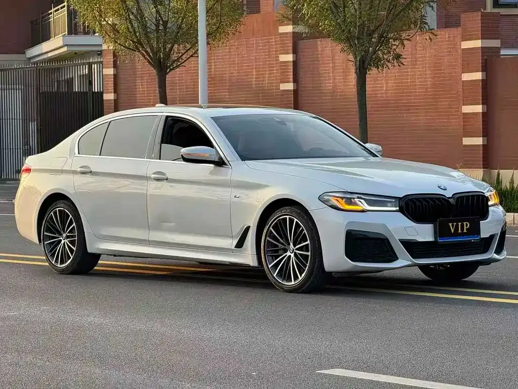 BMW 5 Series 2022 из CN, фото 3