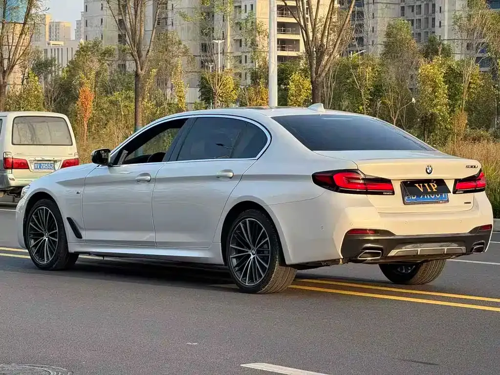 BMW 5 Series 2022 из CN, фото 9