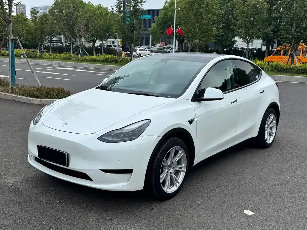Tesla Model Y 2021 из CN, фото 1