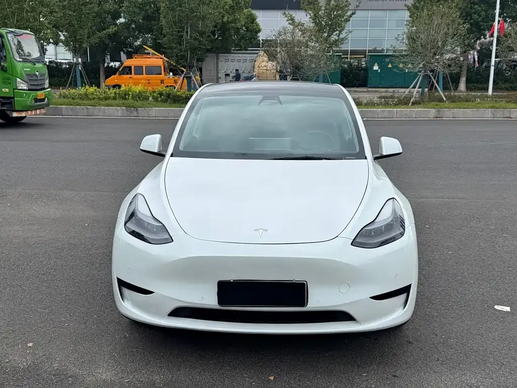 Tesla Model Y 2021 из CN, фото 2