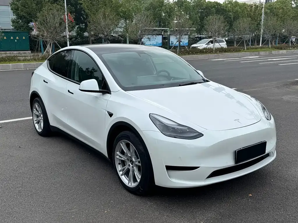 Tesla Model Y 2021 из CN, фото 3