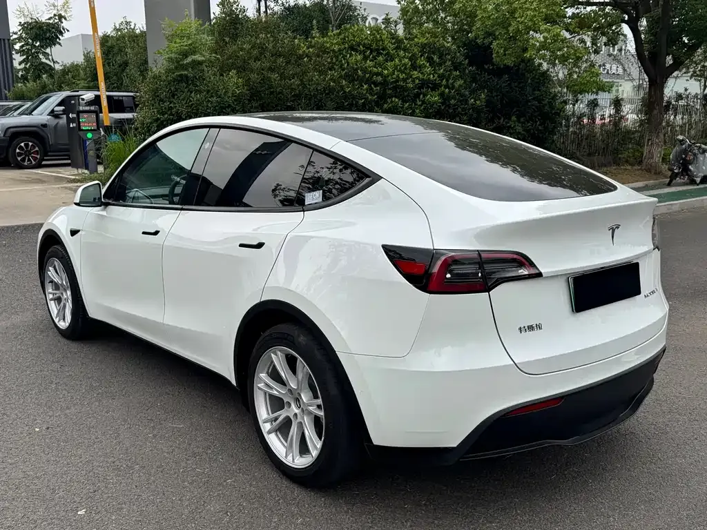 Tesla Model Y 2021 из CN, фото 7