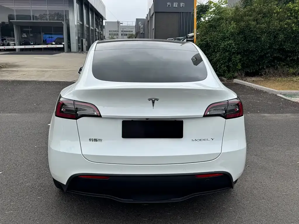 Tesla Model Y 2021 из CN, фото 8