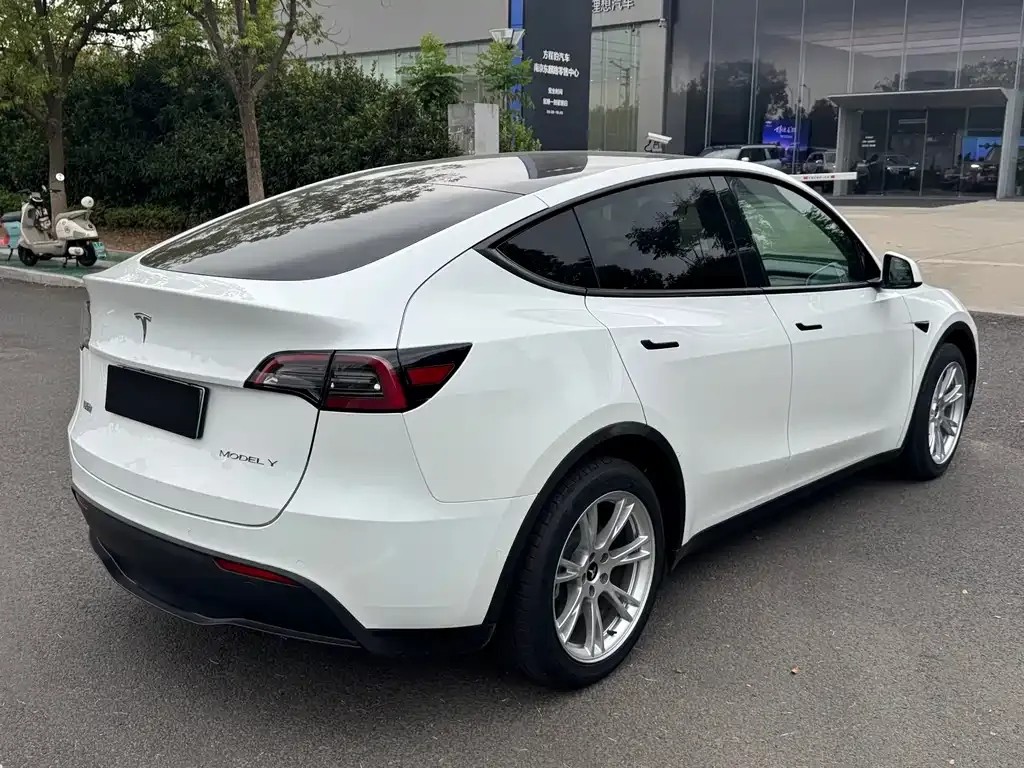 Tesla Model Y 2021 из CN, фото 9