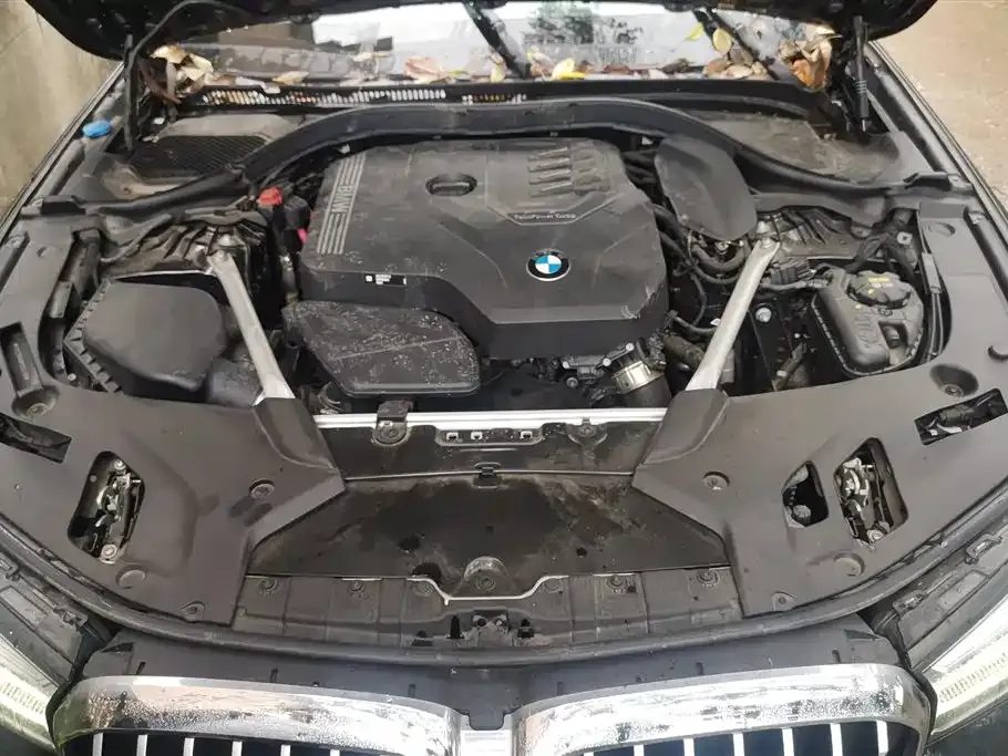 BMW 5 Series 2023 из CN, фото 10