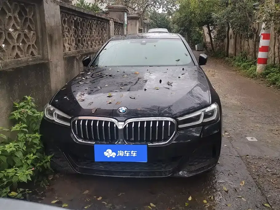 BMW 5 Series 2023 из CN, фото 2