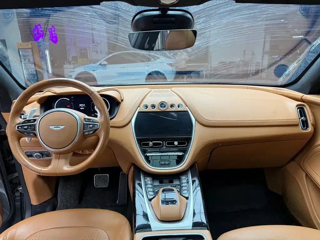 Aston Martin DBX 2022 из CN, фото 10