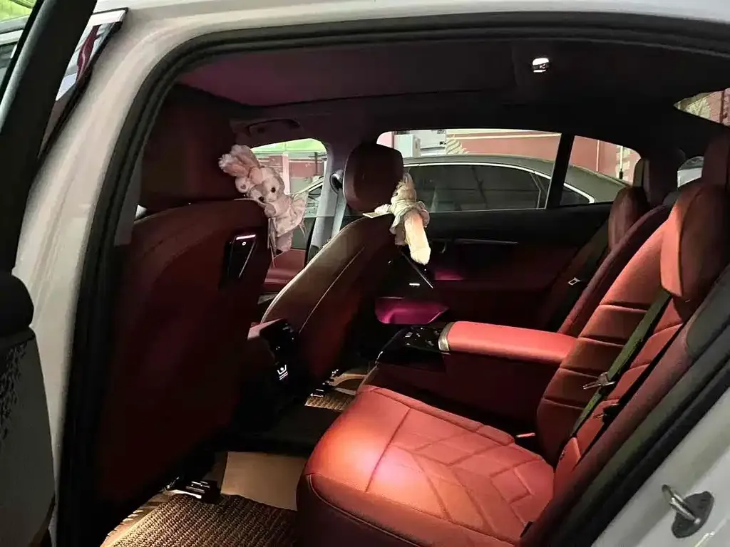 BMW 5 Series 2025 из CN, фото 6