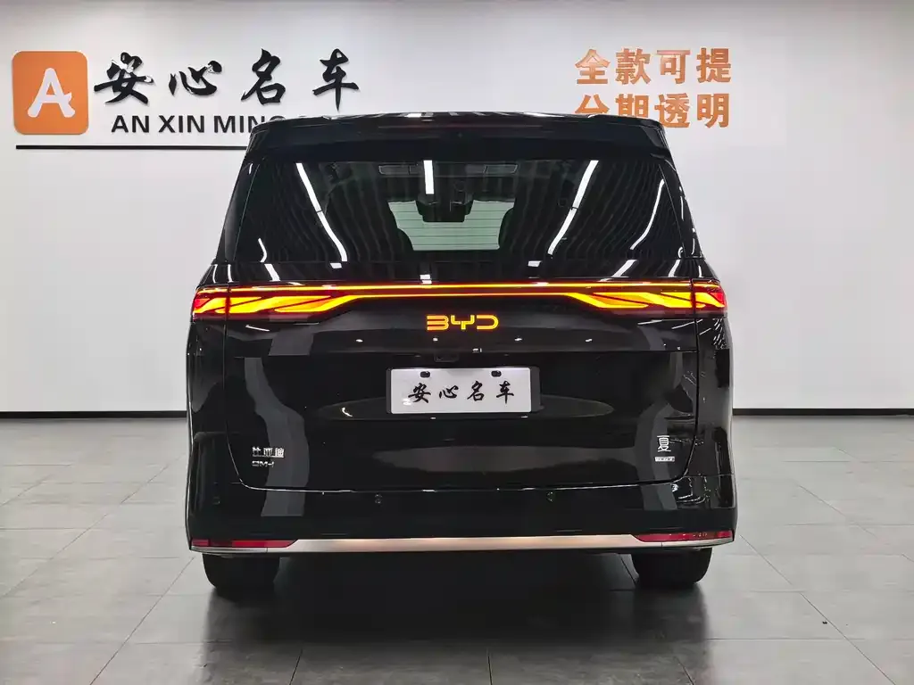 BYD Xia 2025 из CN, фото 4