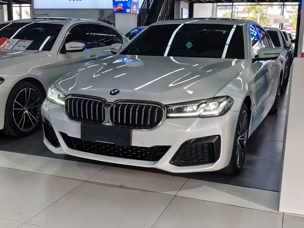 BMW 5 Series 2021 из CN, фото 1