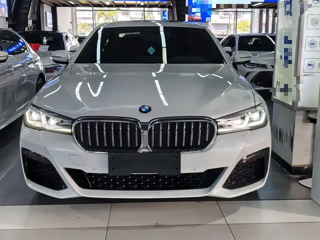 BMW 5 Series 2021 из CN, фото 3