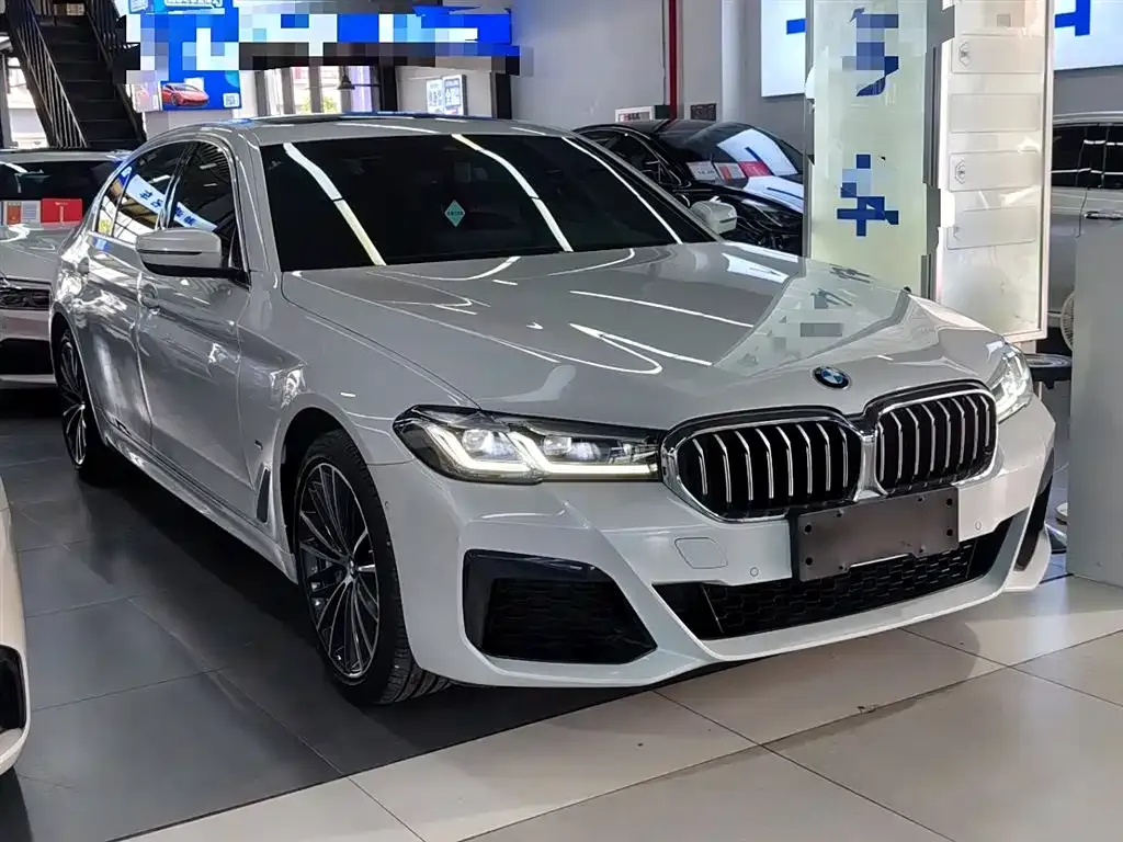 BMW 5 Series 2021 из CN, фото 4