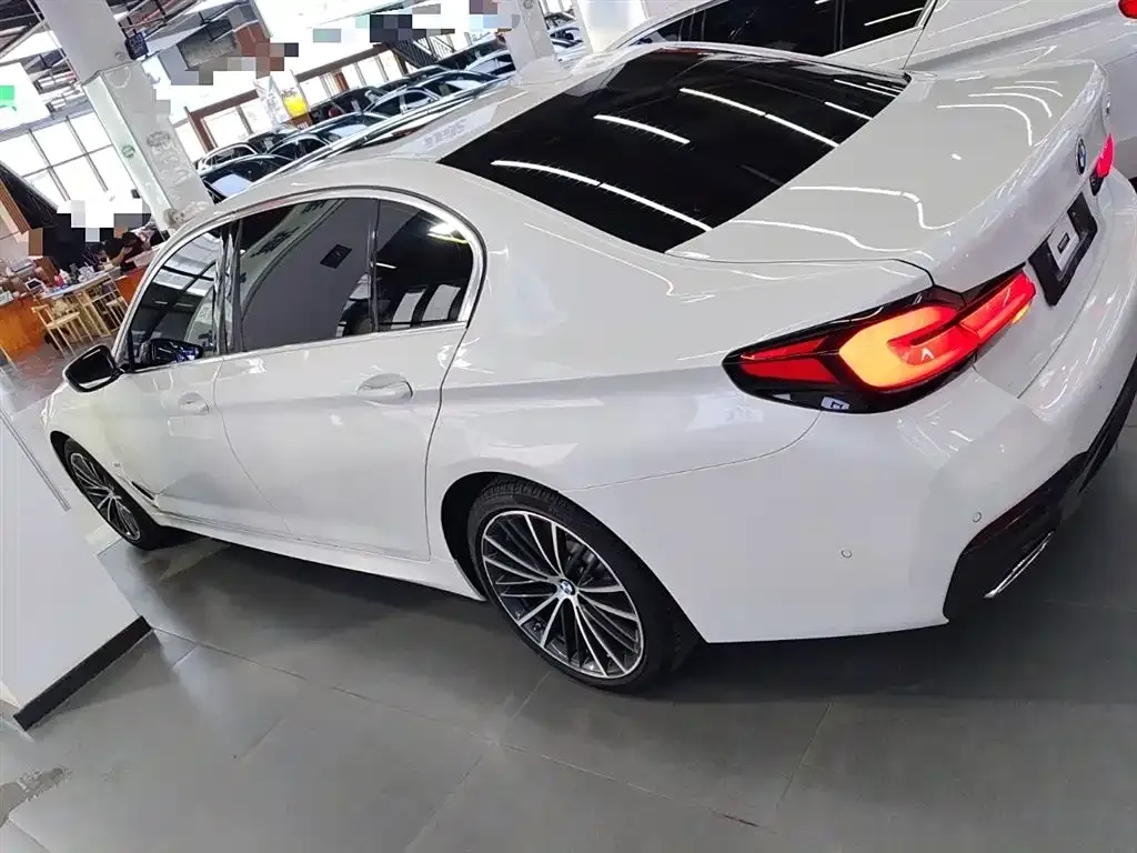 BMW 5 Series 2021 из CN, фото 5