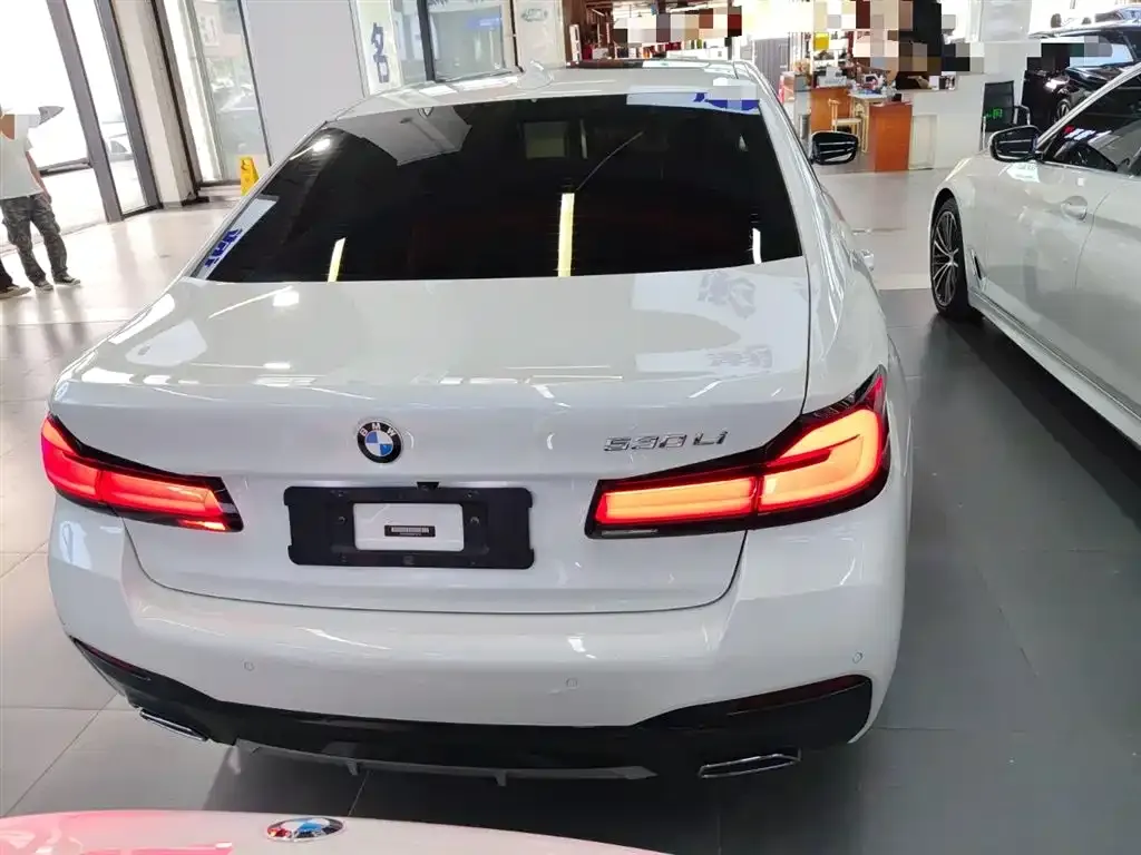BMW 5 Series 2021 из CN, фото 6