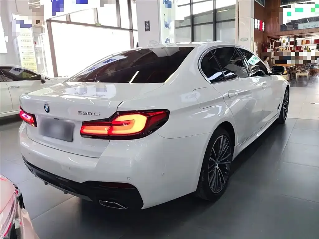 BMW 5 Series 2021 из CN, фото 7
