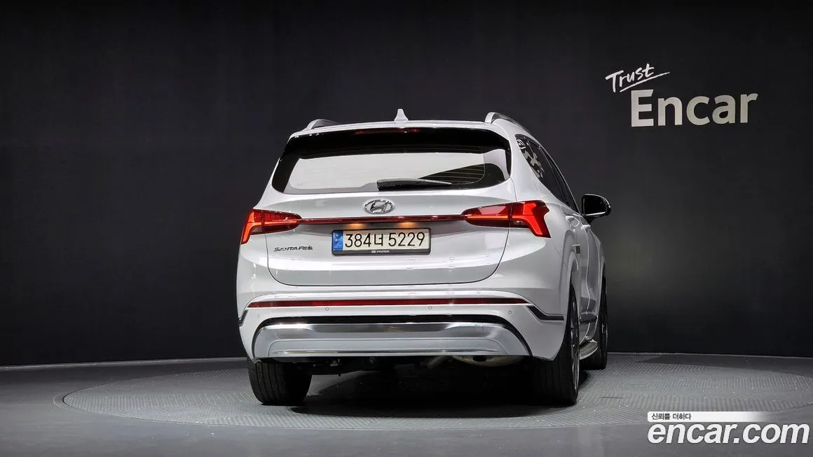 Hyundai Santafe 2021 из KR, фото 4