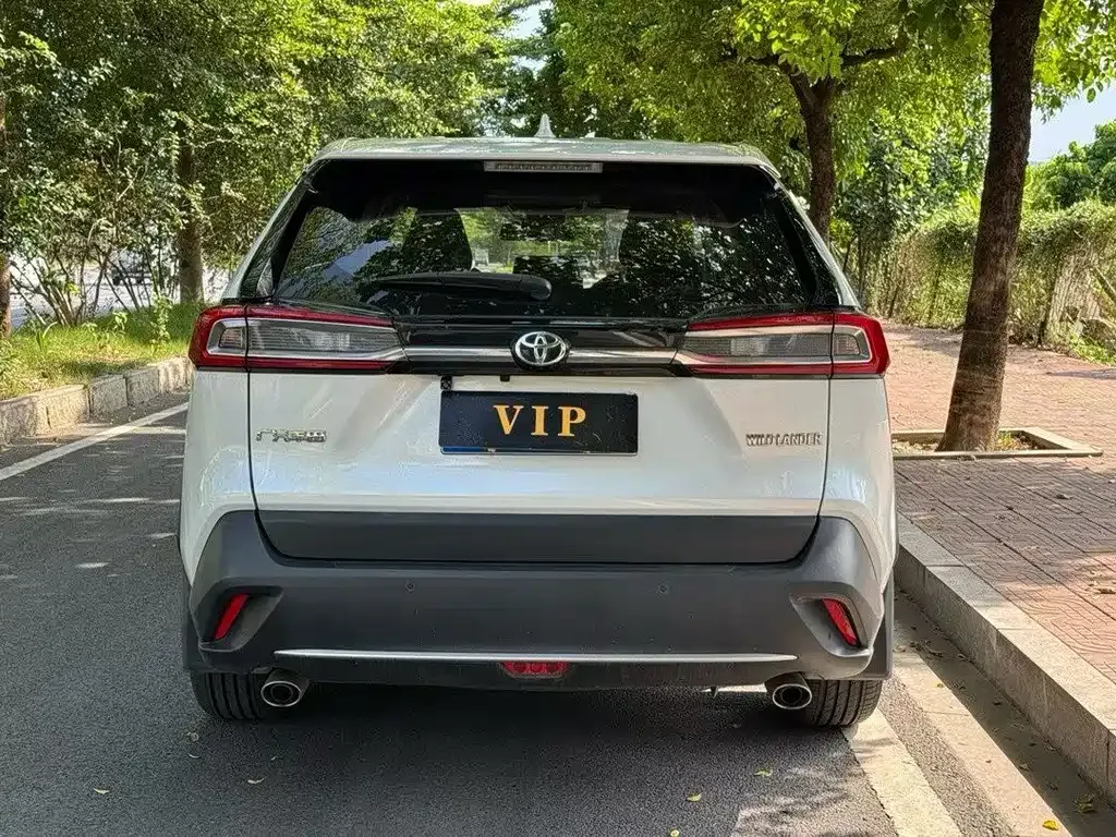 Toyota Wildlander 2021 из CN, фото 3