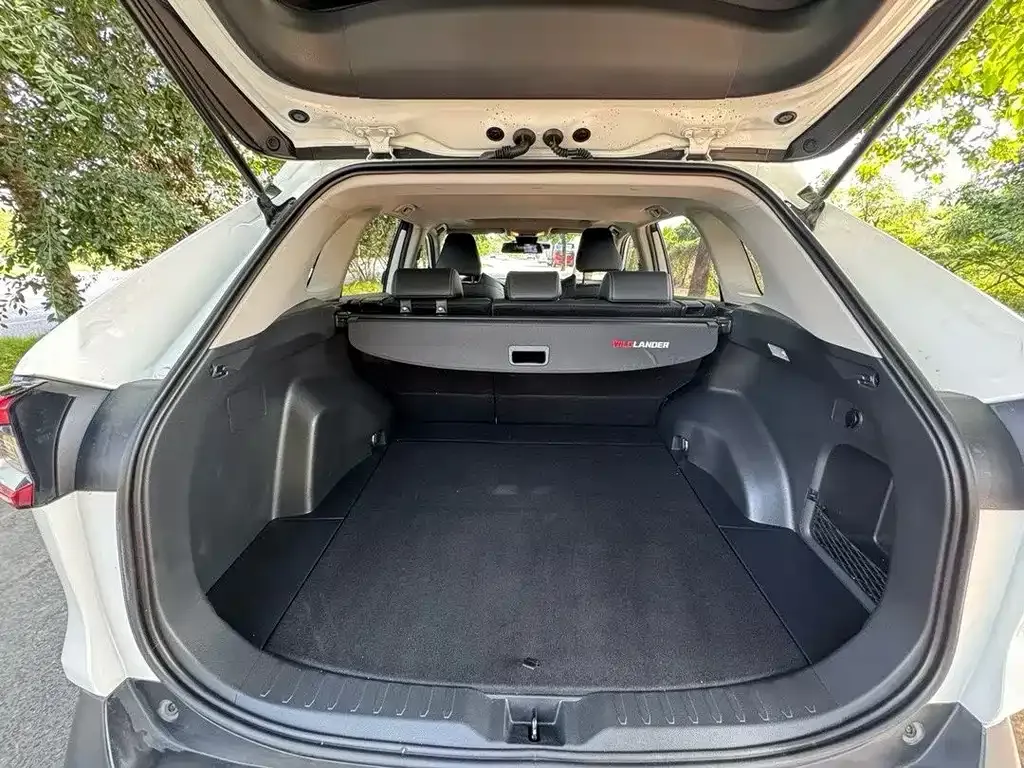 Toyota Wildlander 2021 из CN, фото 9