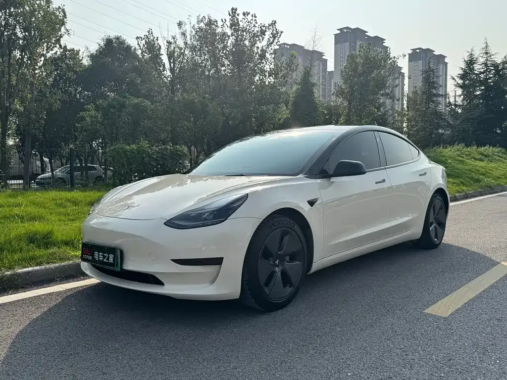 Tesla Model 3 2021 из CN, фото 1