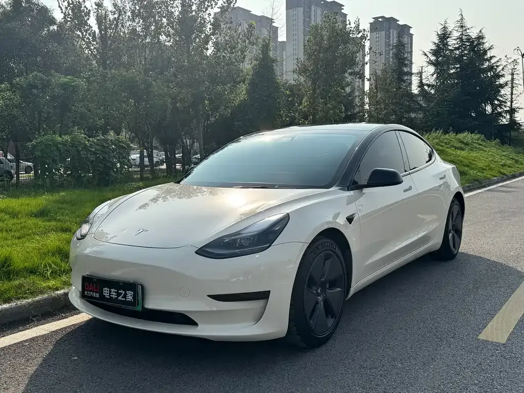 Tesla Model 3 2021 из CN, фото 2