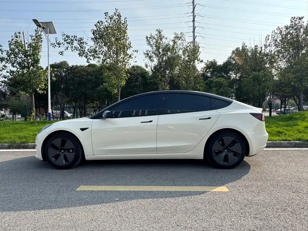 Tesla Model 3 2021 из CN, фото 3
