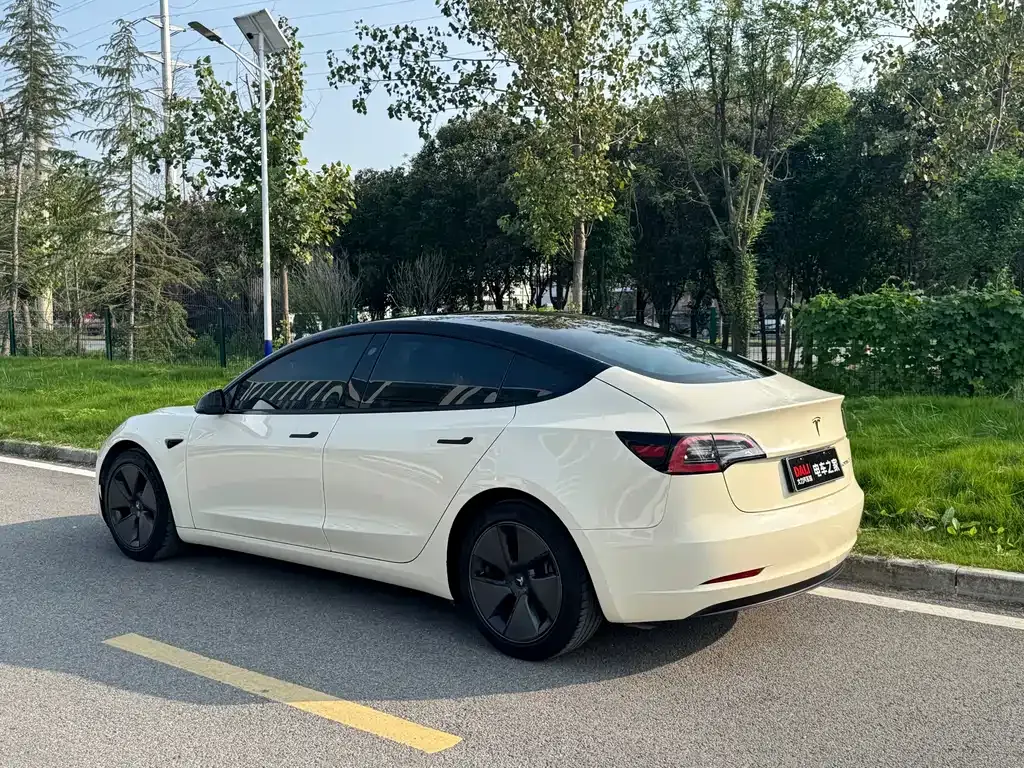 Tesla Model 3 2021 из CN, фото 4