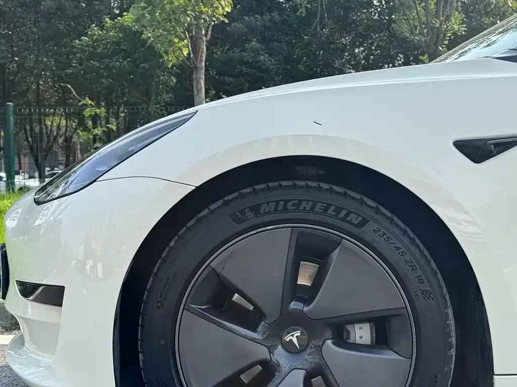 Tesla Model 3 2021 из CN, фото 5