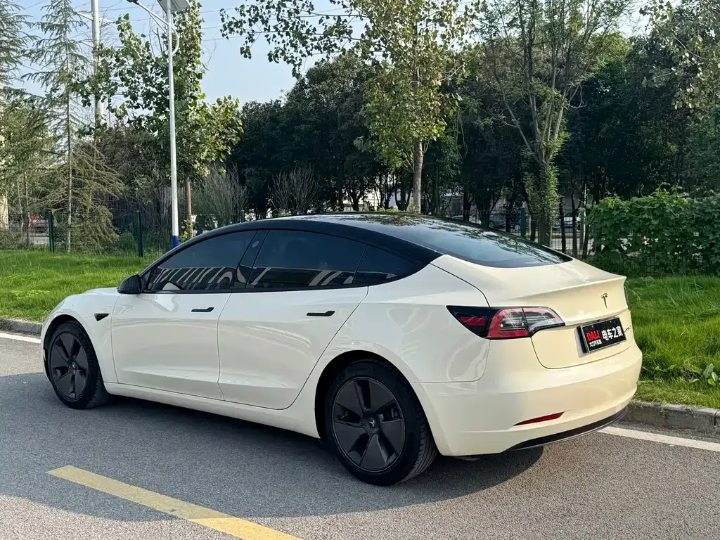 Tesla Model 3 2021 из CN, фото 6