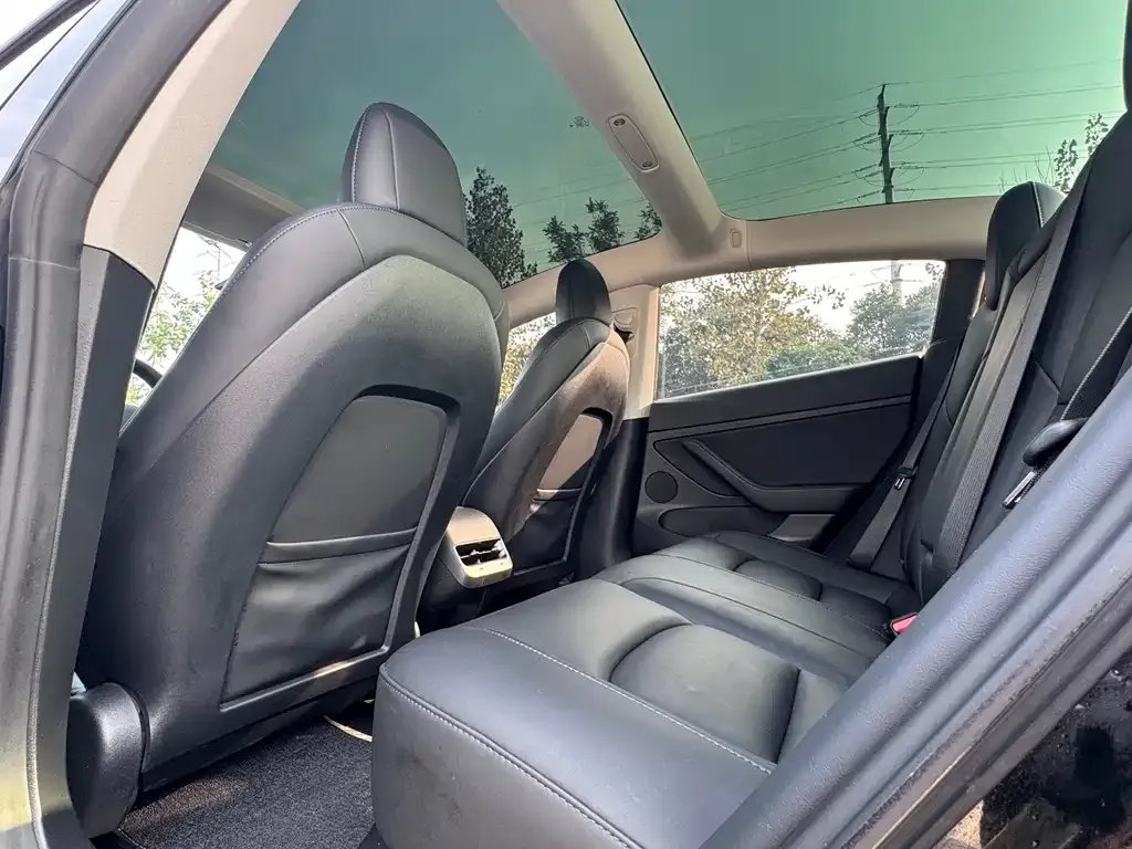 Tesla Model 3 2021 из CN, фото 7