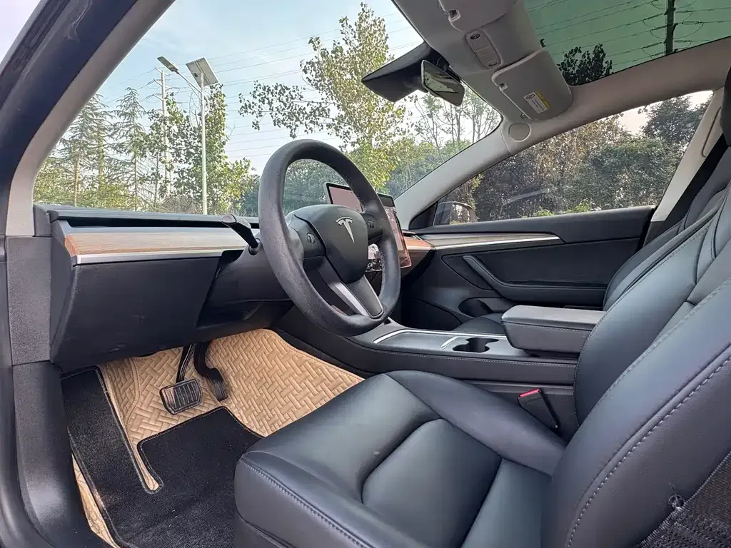 Tesla Model 3 2021 из CN, фото 8