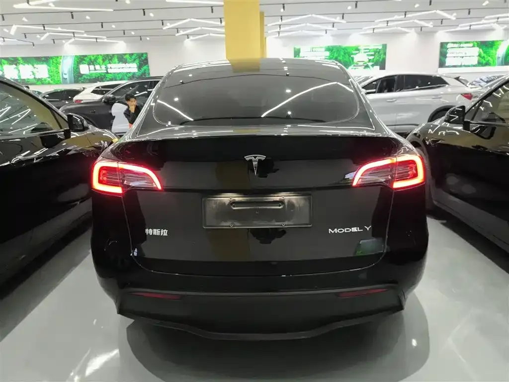Tesla Model Y 2022 из CN, фото 6