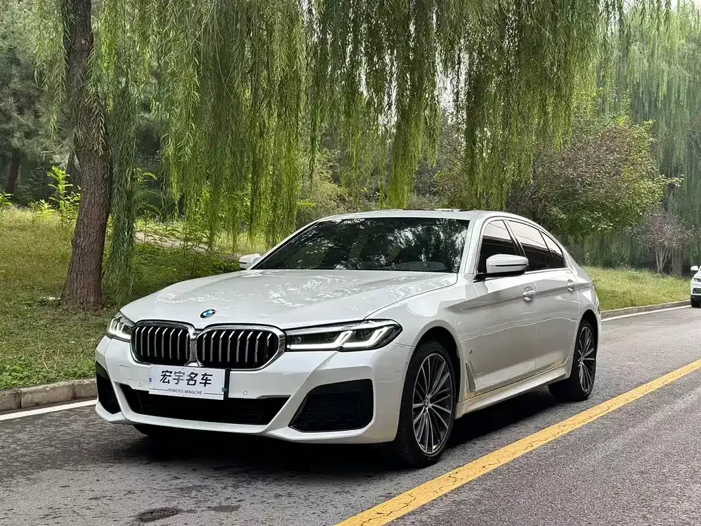 BMW 5 Series 2022 из CN, фото 1