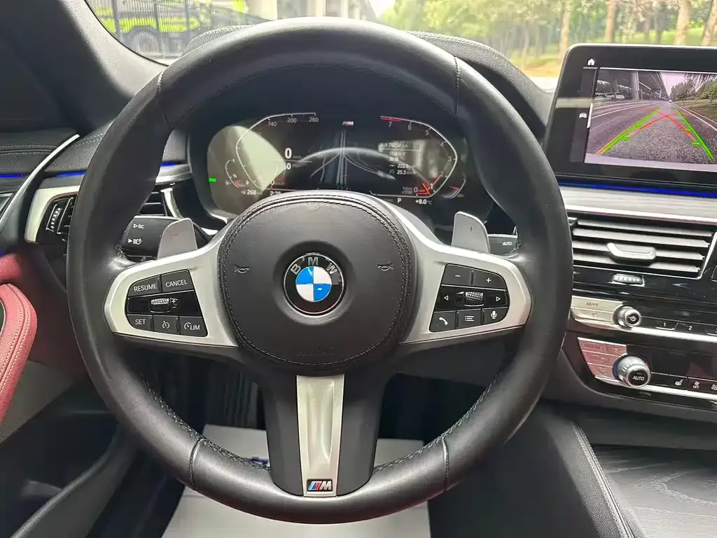 BMW 5 Series 2022 из CN, фото 10