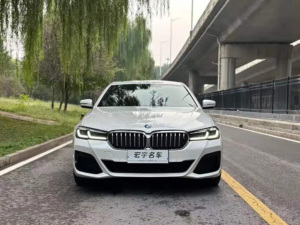 BMW 5 Series 2022 из CN, фото 2